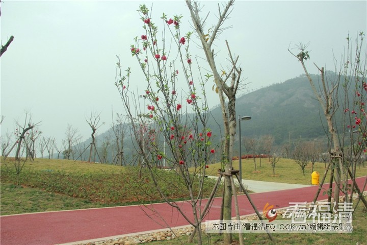 ufng02j4tca4994.jpg