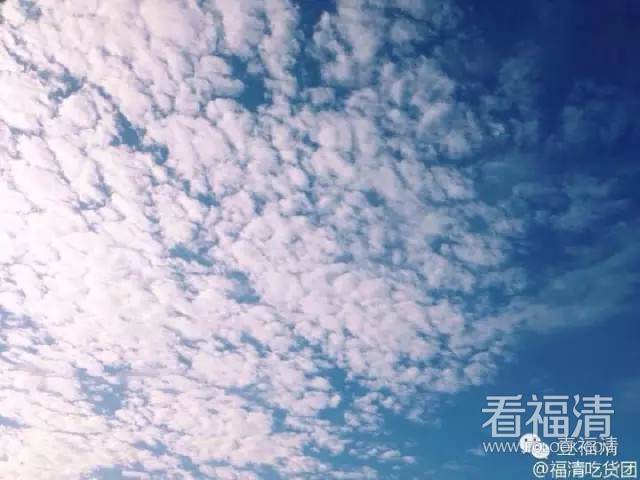 qrkw0o1imab4823.jpg