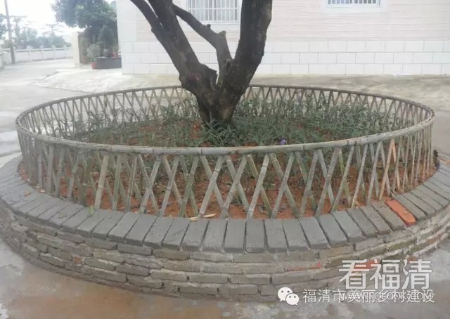 mxnwlq3t1ml4450.jpg