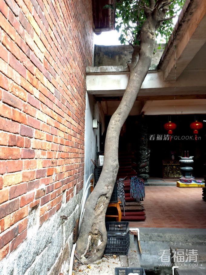 metjvnp1c254436.jpg
