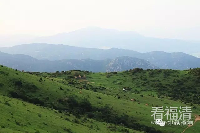 zfgnrqine5h4323.jpg