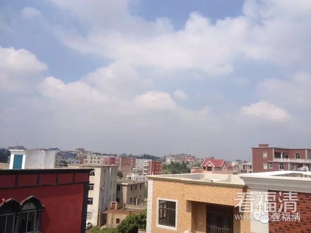 0z1mnplie4k4117.jpg