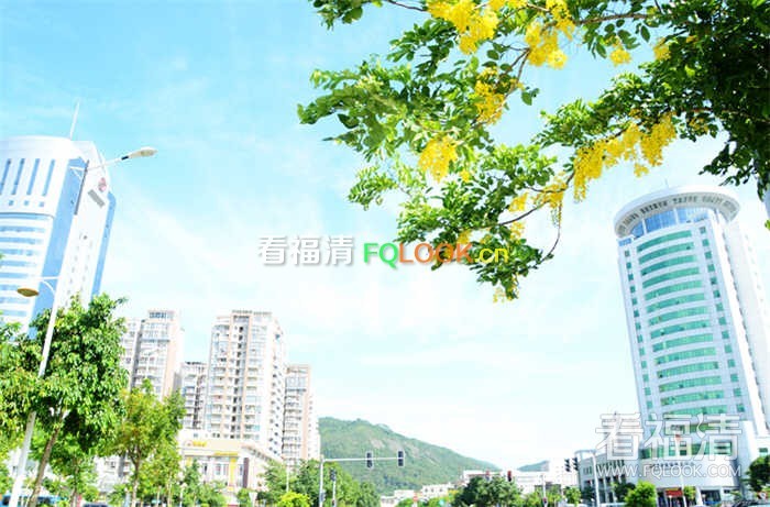 03vyrjvfe2p1266.jpg