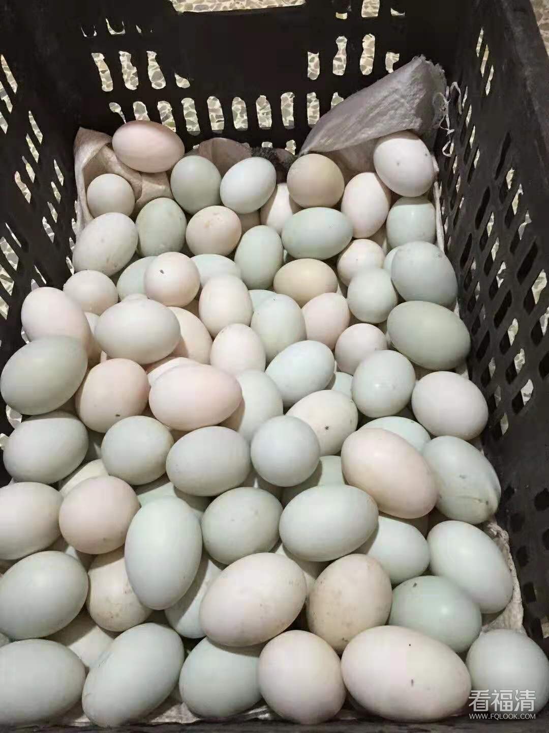 微信图片_20190315114827.jpg