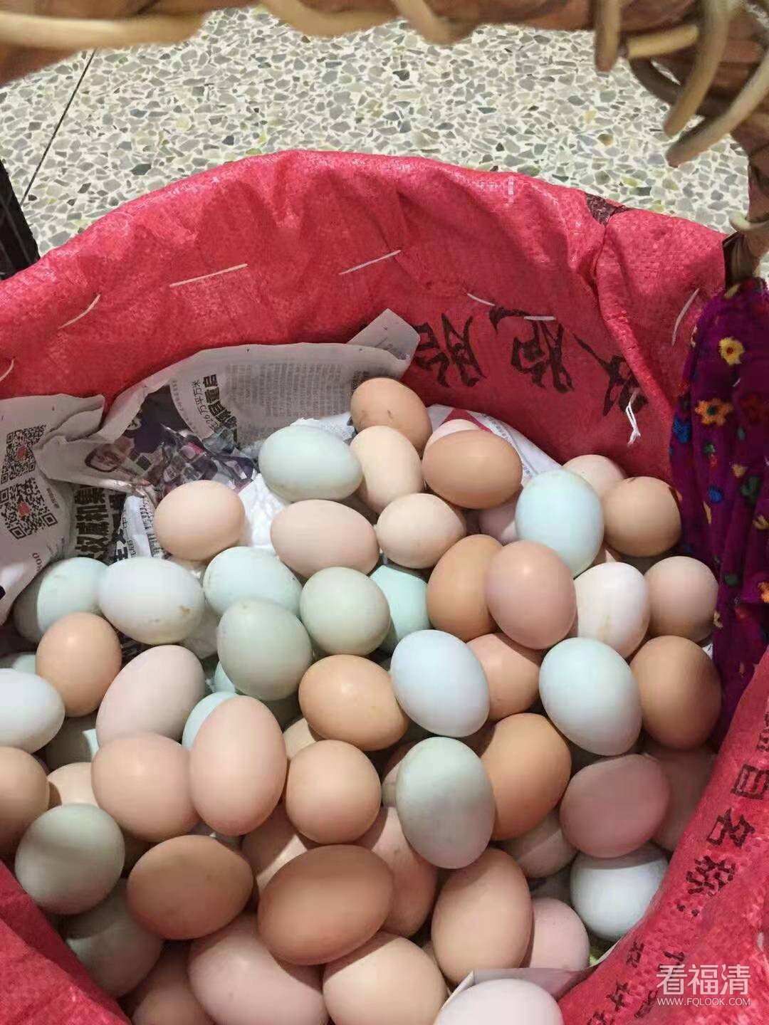 微信图片_20190315114835.jpg