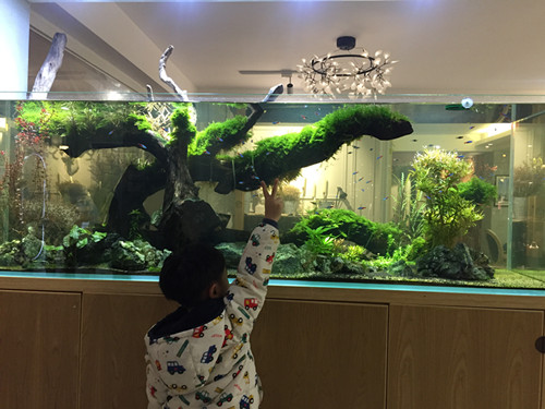 微信图片_20190315115936_副本.jpg