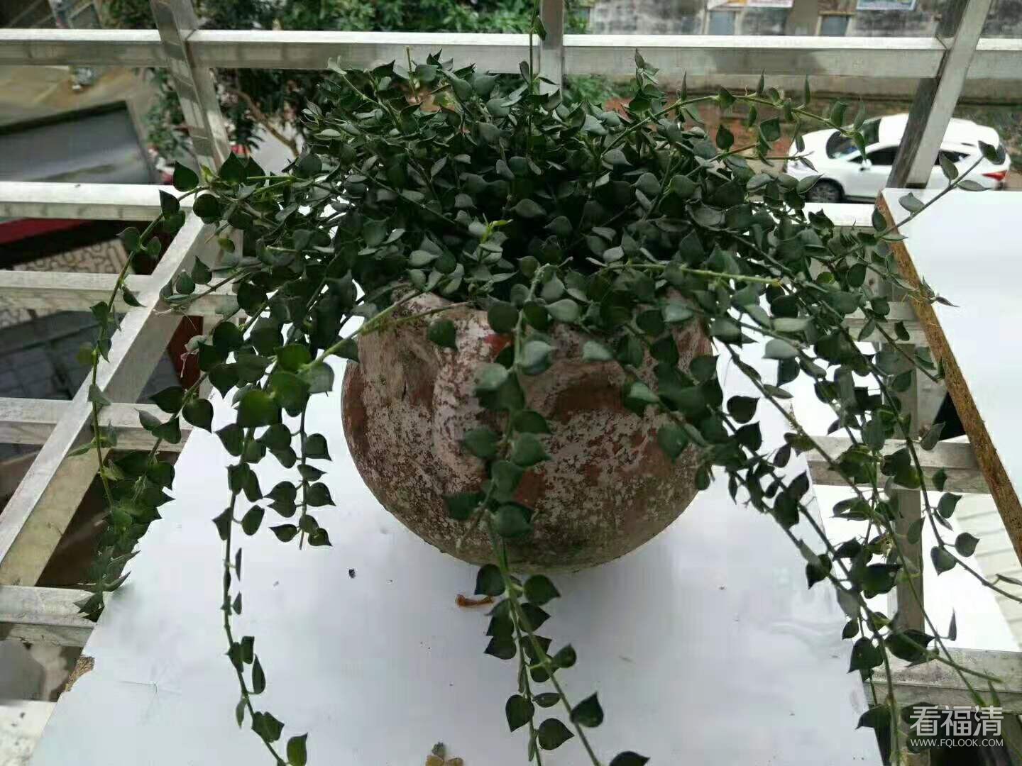 微信图片_20190316101042.jpg