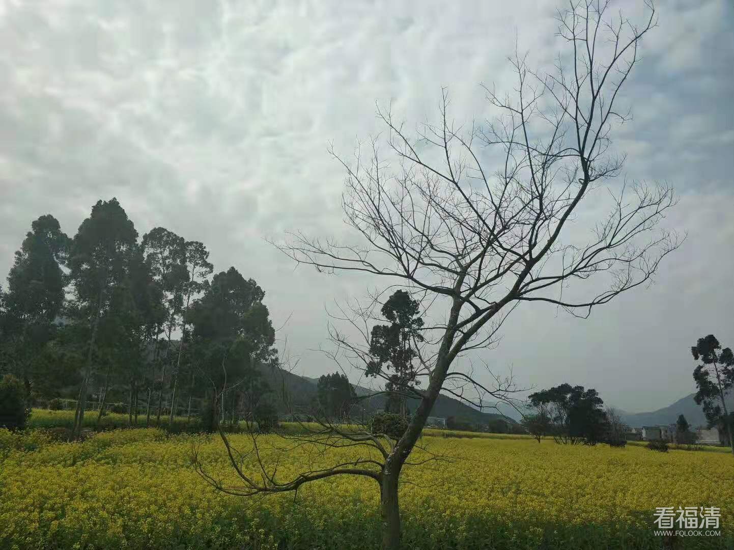 微信图片_20190316101509.jpg