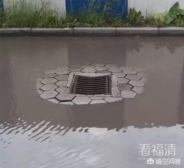 1a08d00045fa25c7a3b71
