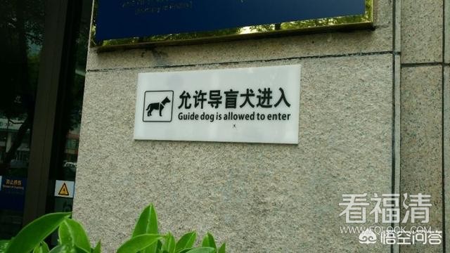 1a08f00046268ba0521fa
