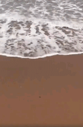 640?wx_fmt=gif