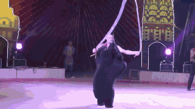 15566927355.gif