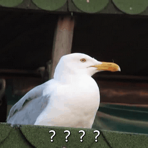 ?wx_fmt=gif