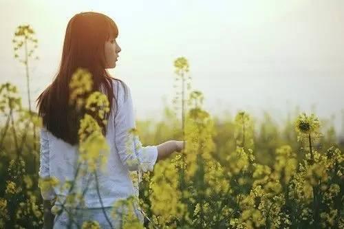 1ad4000a731ff15c33ee