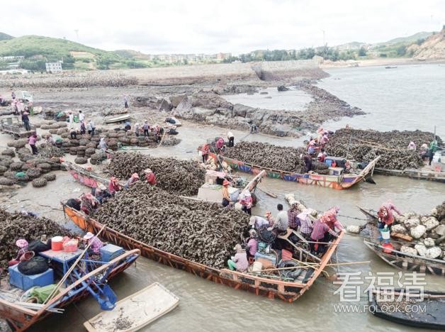 微信截图_20190905143904.jpg