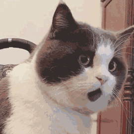 ?wx_fmt=gif