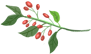 640?wx_fmt=png