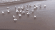 640?wx_fmt=gif