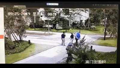 GIF.gif