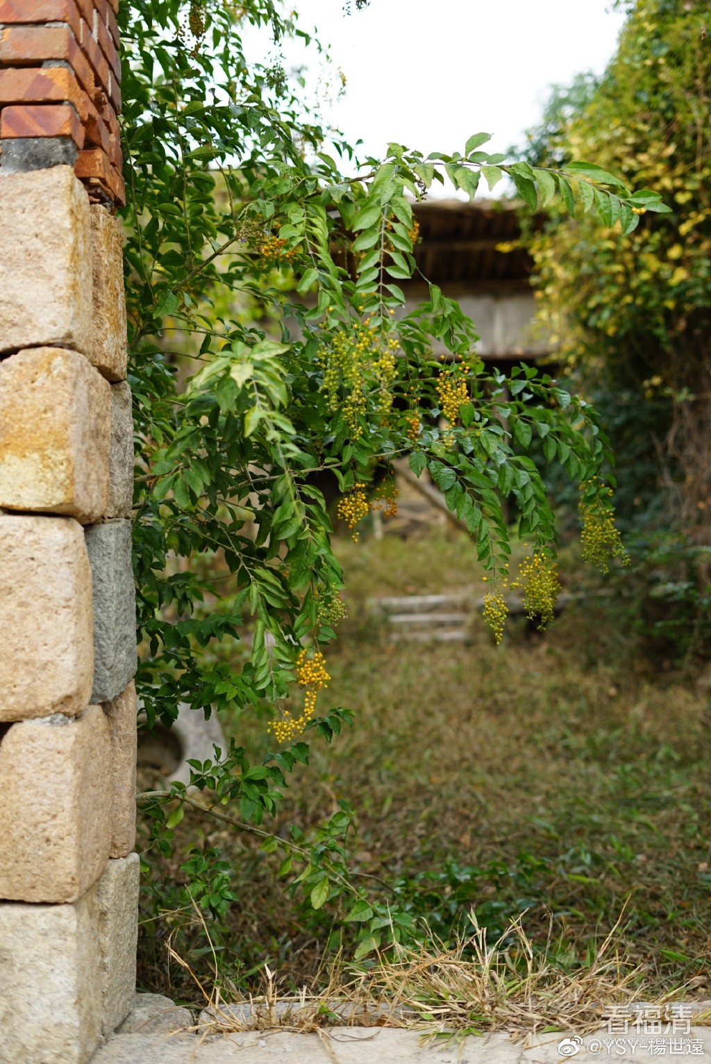 7d4802a3gy1ga246cjoqtj20u018wkff.jpg