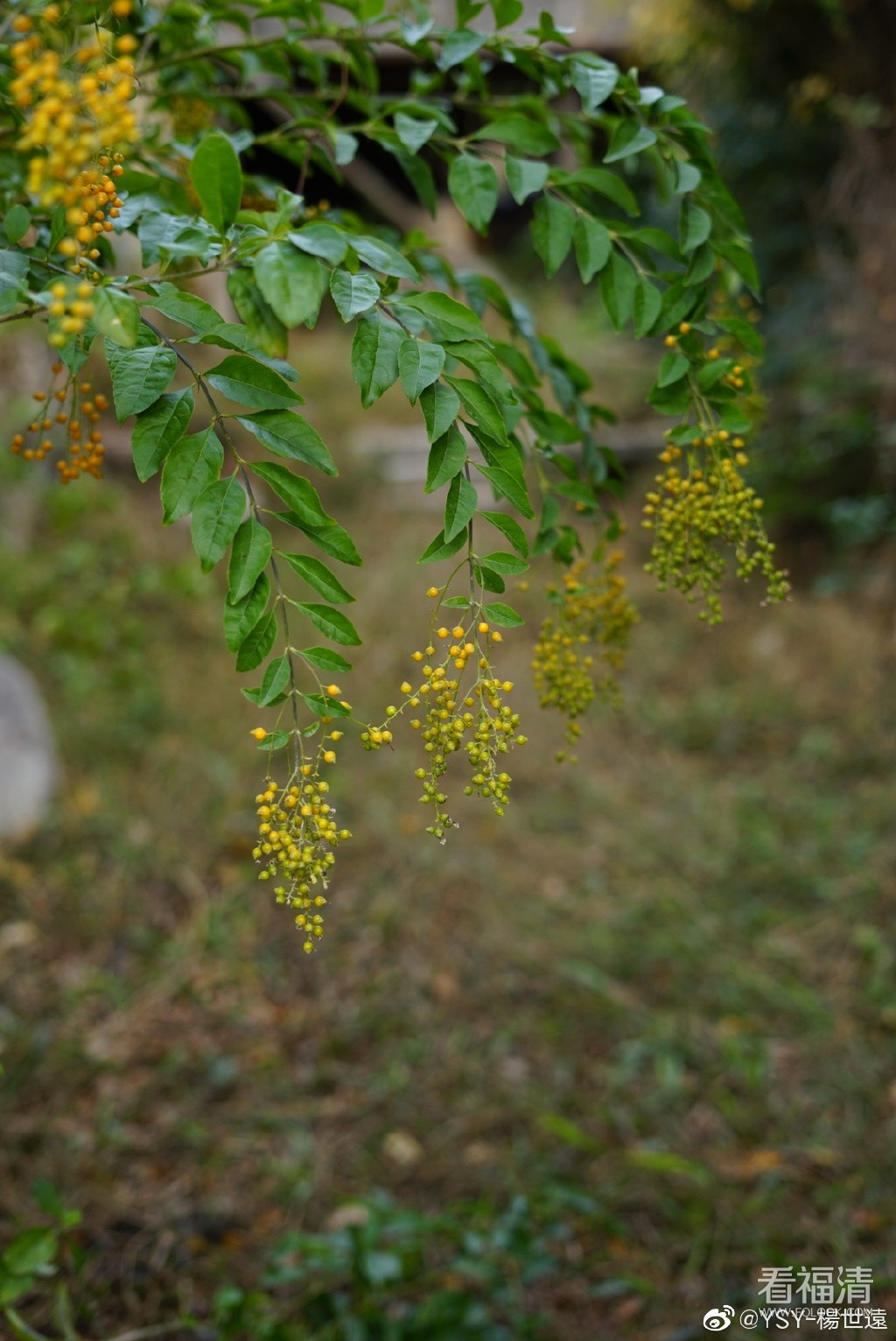 7d4802a3gy1ga246ek26lj20u018wgyi.jpg