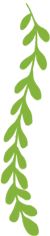 640?wx_fmt=png