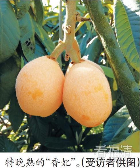 微信截图_20200418144146.jpg