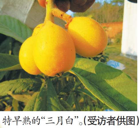 微信截图_20200418144202.jpg