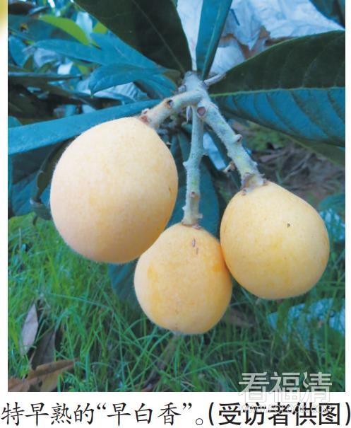 微信截图_20200418144223.jpg