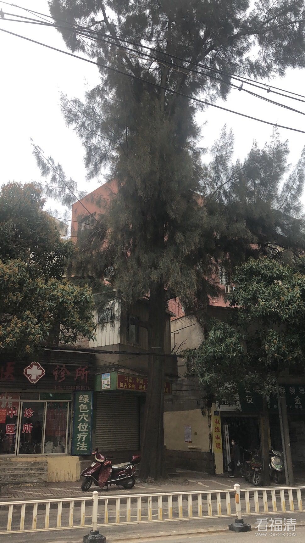 微信图片_20200320095613.jpg