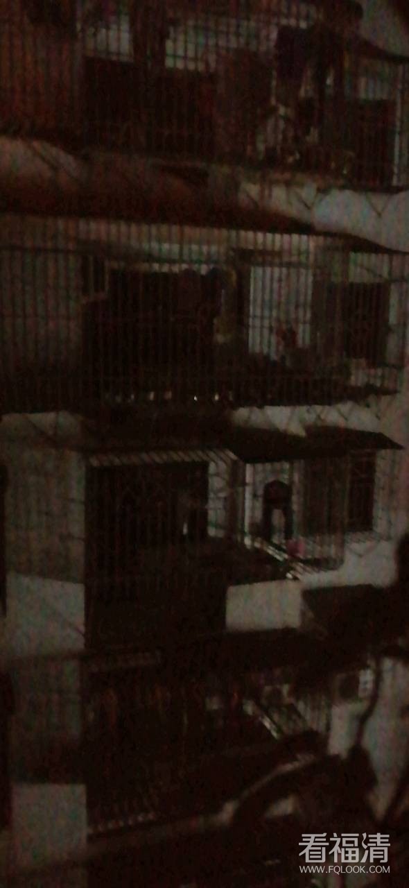 front2_0_Fm9HViWgUD_36CMKPQaawmQU5Quy.jpg