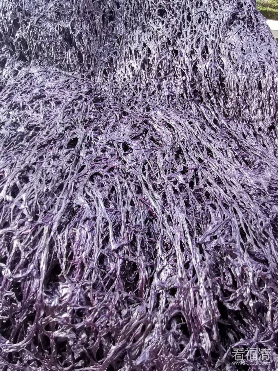 front2_0_FlGRn8cysxtFMB7y41wwAxHFPb2g.jpg