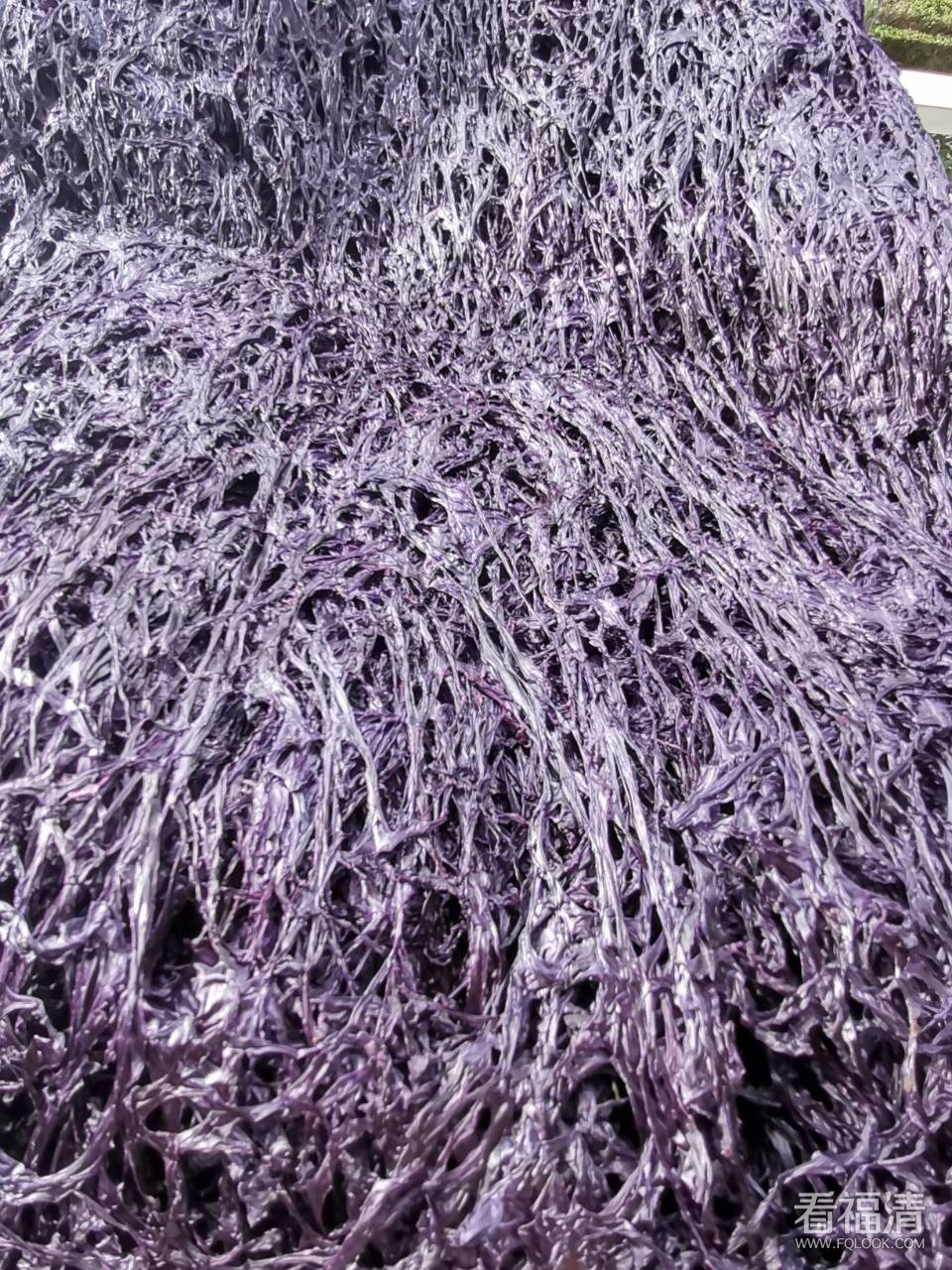 front2_0_Fl9YTaqgX4aAb1Mn8ap0yfFbLwb6.jpg