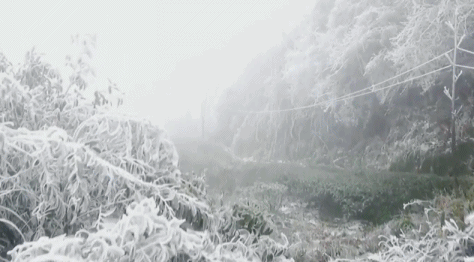 640?wx_fmt=gif