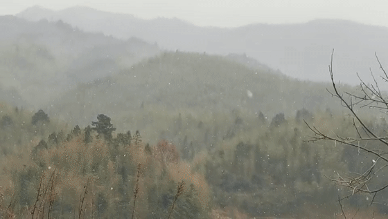 640?wx_fmt=gif