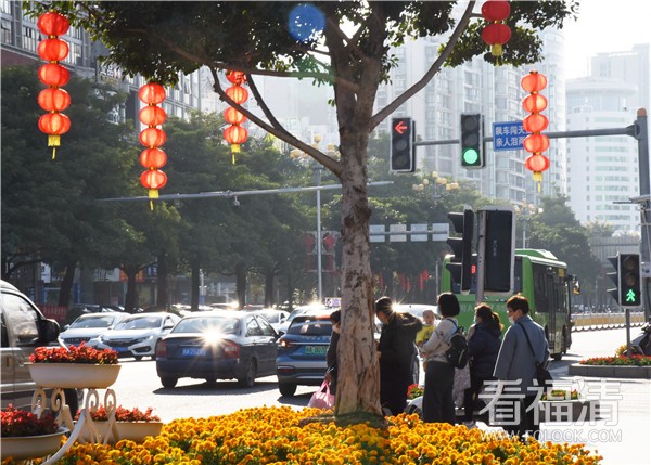 【郭成辉】清昌大道街灯鲜花红彤彤-郭成辉摄. (2)_副本.jpg