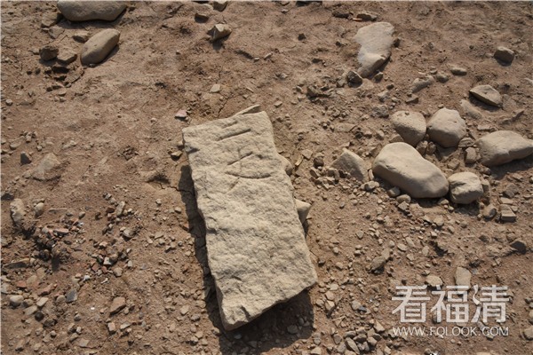 【郭成辉】东张水库干旱现梯田界碑-郭成辉摄7 (75)_副本.jpg