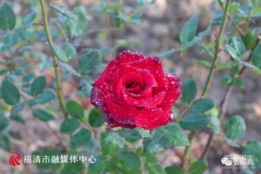 640.webp (1).jpg