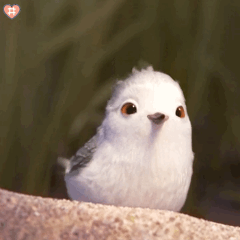 214729s5n8iqv3sevk8ext.gif