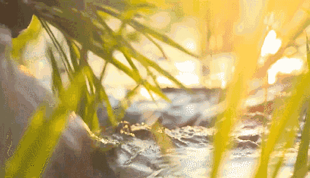 084813c3ncajdnxjjr85ck.gif