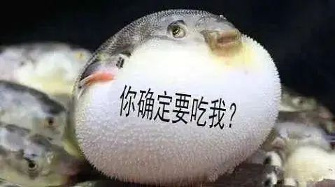 095556izr27zz9l47r147z.jpeg