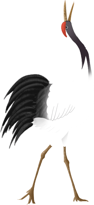 095734cep13u05fzlhvfu5.png