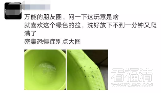 085310yflkfc0efw4gkf29.png