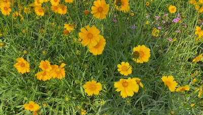 090940kj433184ujsv8xux.gif