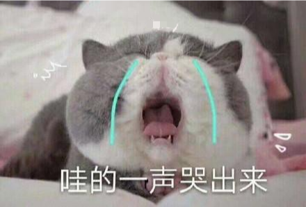 175138nzpca88niczaoxhh.png