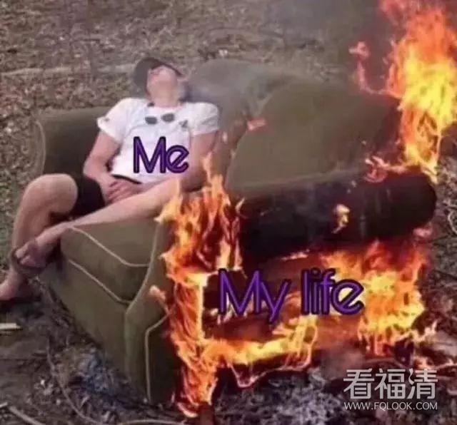 090353fmol8ivzliuibrv8.jpeg