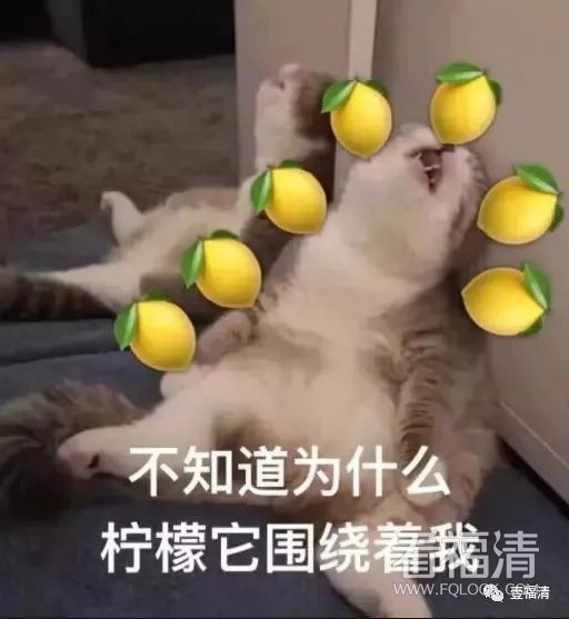 083725k8jjmiyskm28hji2.jpeg