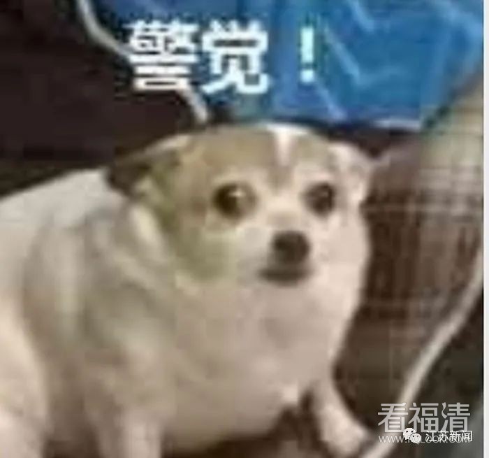 171351q5ld32fdlpazov3r.jpeg