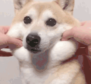 171906pwpefcfbwzzubffc.gif