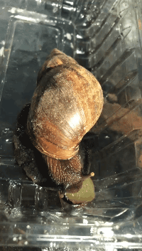 160408jj8jz8pyzrrjryjr.gif